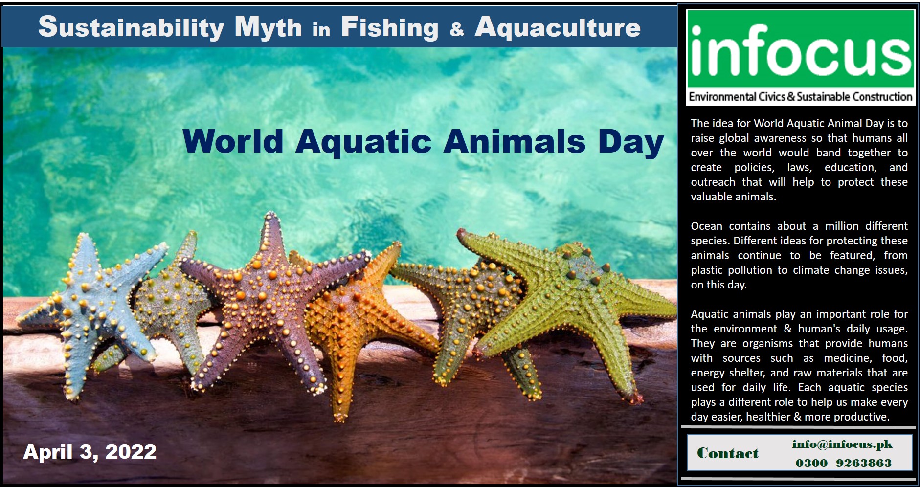 World Aquatic Animals Day - Infocus